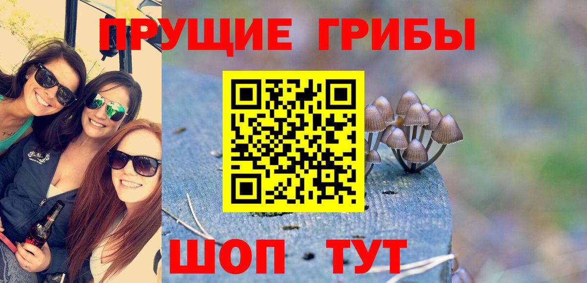 купить закладку  Галлюциногенные грибы Psilocybine cubensis  Вход с VPN  Алексин 